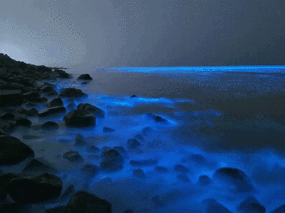 7.gif