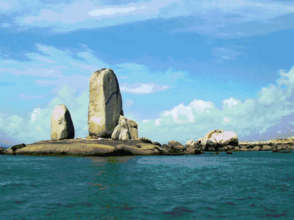 6.gif