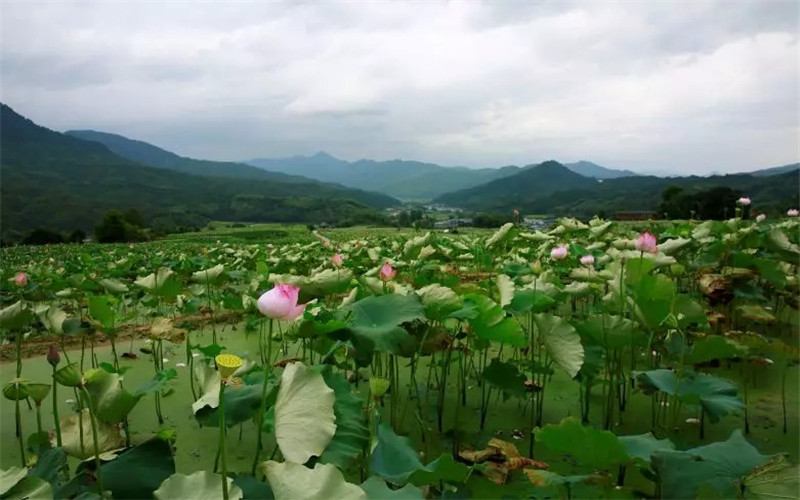 24.webp_副本_副本.jpg