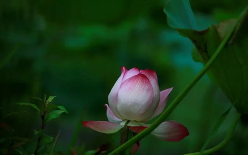 25.webp_副本_副本.jpg